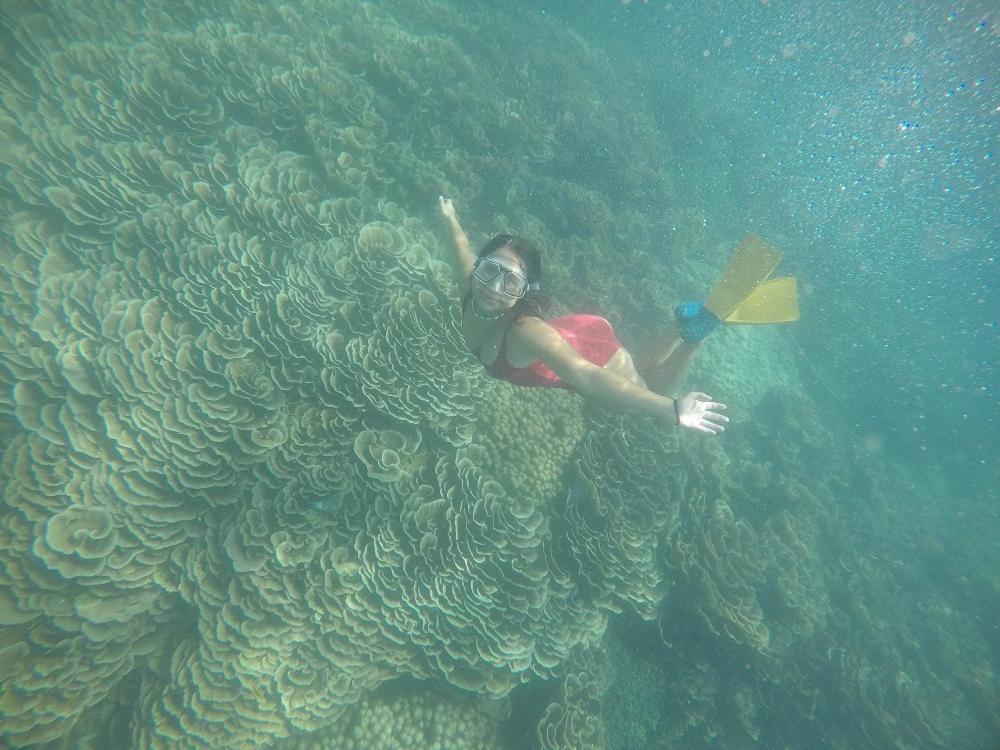 Chuiba Bay Lodge Pemba Eksteriør bilde